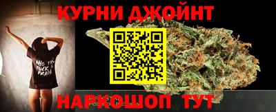 прущие грибы Кингисепп