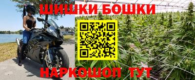 прущие грибы Кингисепп