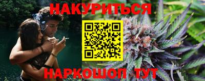 прущие грибы Кингисепп