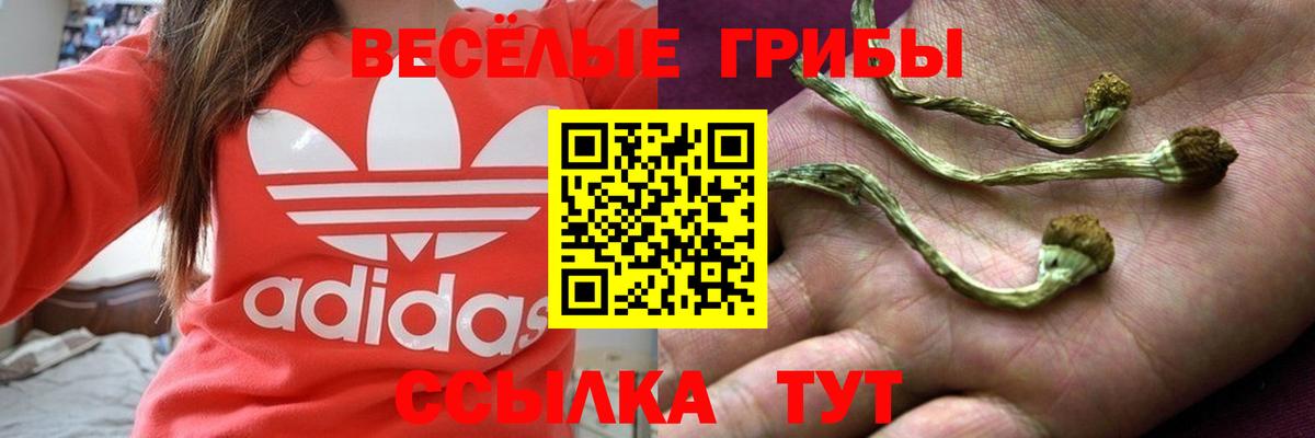 Галлюциногенные грибы Magic Shrooms Комсомольск-на-Амуре